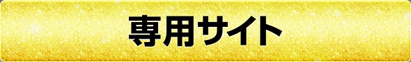 専用サイト